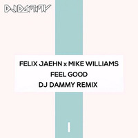 Feel Good (DJ DAMMY REMIX) by DJ DAMMY