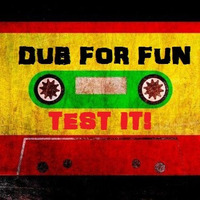Dub For Fun - Test It! (Dub For Fun RECORDS) by DUB for FUN