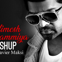 Himesh Reshammiya   Mashup   DJ RajaXavier Maksi  2018 by iamdjraja