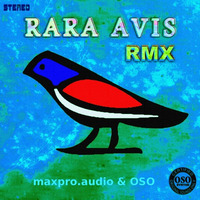 maxproaudio &amp; OSO, Rara Avis Remix, Deep Jazz Funk by maxpro.audio