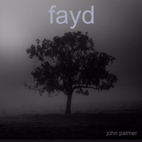 fayd by John Palmer