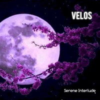 Serene Interlude by Velos