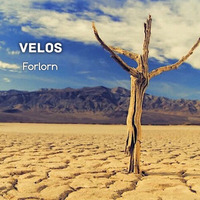 Forlorn by Velos