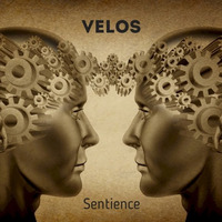 Sentience by Velos