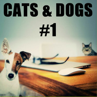 Cats and Dogs #1 by Archaic Radio
