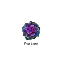 Fast Lane by Kryphon