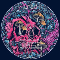LFSC - Acid 3 (Original Mix) [Sisma Records] by Luciano Cinzia Fusco
