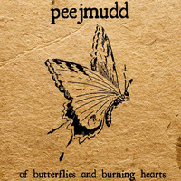 Of Butterflies and Burning Hearts by peejmudd