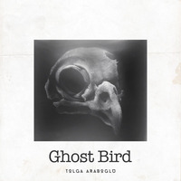 Ghost Bird by Tolga Araboglu