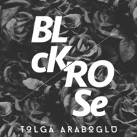 Black Rose by Tolga Araboglu