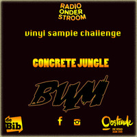 CONCRETE JUNGLE(radio onderstroom sample challenge) by BUM