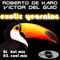 Roberto De Haro &amp; Victor Del Guio - Exotic Yearning (Cool Mix) CUT by Guide Records