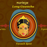 Laung Gawacha ( Remix ) by Veronix Spirit