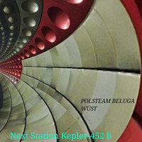Next Station Kepler - 452 B /feat Wüst by Polsteam Beluga