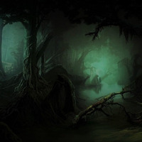 Enry Fontana - Shadows In The Jungle by Enrico Fontana