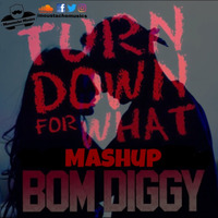 Bom Diggy X Turndown For What (Moustache Darbuka Mashup) by Moustache Musics