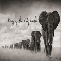 King Of The Elefant by g'rod