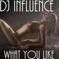 What You Like by N-Fluence