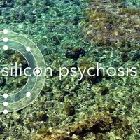 The Silent Message by Silicon Psychosis