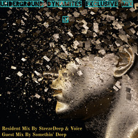 Underground Dynamites Vol 17 Mixed By SteezeDeep & VOICE by Underground Dynamites Podcast