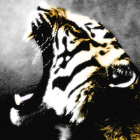 Synct - Vibe Tiger by Shogunai Sound