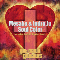 GDG003 Mesake ft. Indre Ju - Soul Color (Genetic Rhythm Mix) by Get Down Grooves