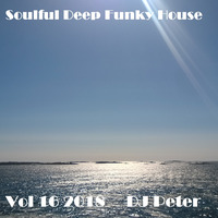 Soulful Deep Funky House Vol 16 2018 - DJ Peter by YPVJTEENMAARDJS