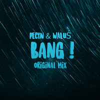 PECYN & WALUŚ - Bang! (Original Mix) by DJ WALUŚ
