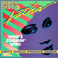 Who's Zoomin' Who (Dirty Disco Private Remix) by Dirty Disco