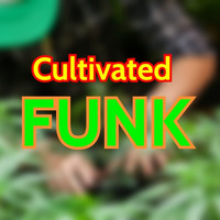Cultivated Funk Mix 2018 by Claudius Funk