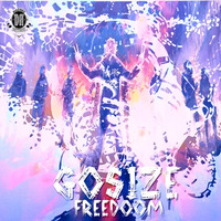 DZR929 : Gosize - Freedom (Original Mix) by Dizzines Records