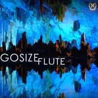 DZR347 : Gosize - Bass (Original Mix) by Dizzines Records