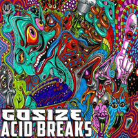 😎DZR438 : Gosize - Acid Breaks (Original Mix)🔥 by Dizzines Records