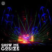 DZR753 : Gosize - Show Me (Original Mix) by Dizzines Records