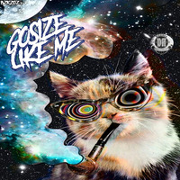 😎DZR2023 : Gosize - Like Me (Original Mix)🔥 by Dizzines Records