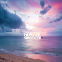 😎DZR2028 : Gosize - Surrender (Original Mix)🔥 by Dizzines Records