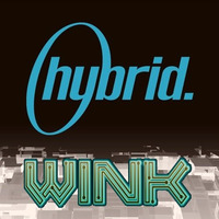 Joe Wink's Hybrid Tribute Vol. 2 (Free Download) by JOE WINK