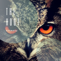 The Hoot by Greg Soma