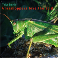 Tyler Smith - Grasshoppers love the acid by Tyler Smith