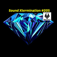 Benny - Sound Xtermination #205 by Benny