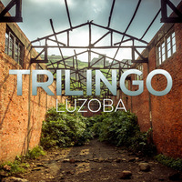 Trilingo - Luzoba (Flembaz Remix) [Techgnosis Records] by Flembaz
