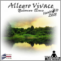 Allegro Vivace 2k18 numero tres by Real Sharky