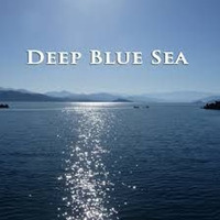 Deep Blue Sea by DJ Duo Bug und Heck
