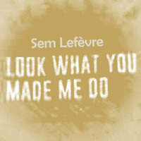 Look What You Made Me Do by Sem Lefèvre