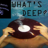 Soulful Excursions 01192016 What's Deep! by Chris Perry's Soulful Excursions
