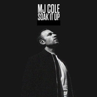Soak It Up (Final Cutt Collective Remix) by Final Cutt Collective