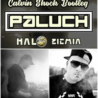 Paluch - Halo Ziemia (Calvin Shock Bootleg) by HitBasse