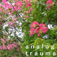 these flowers are for you (deep nights) by Analog Trauma