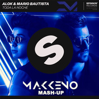 Alok & Mario Bautista feat. Pauza X Necola - Toda La Noche (Makkeno Mash-up) by Dmitriy Makkeno