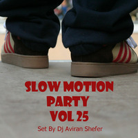 Slow Motion Party Vol 25 by Aviran's Music Place